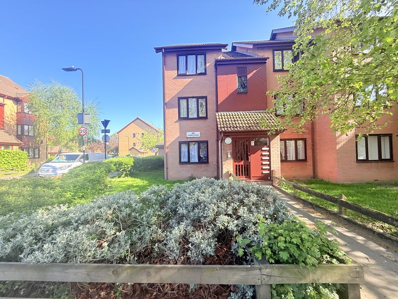 Main Image